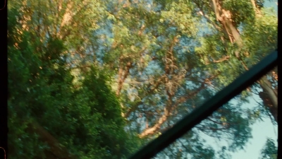 SWP0148.jpg