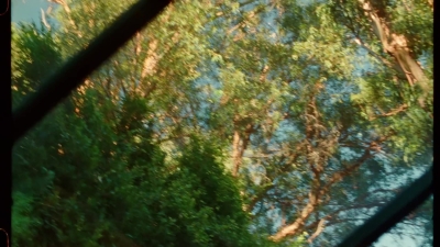 SWP0151.jpg