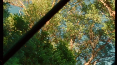SWP0153.jpg