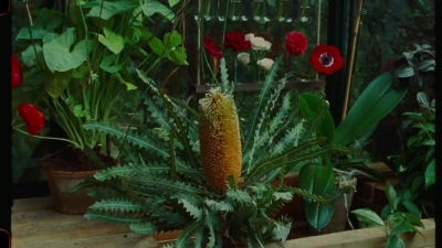 SWP0812.jpg