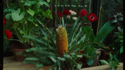 SWP0813.jpg