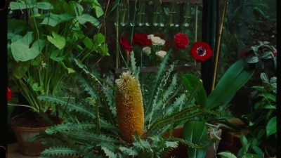 SWP0818.jpg