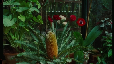 SWP0819.jpg