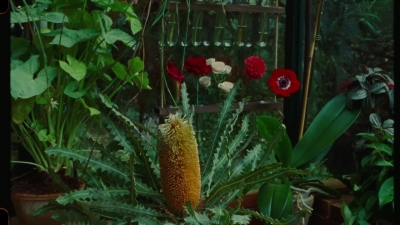 SWP0820.jpg