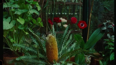SWP0821.jpg