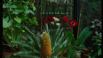 SWP0822.jpg