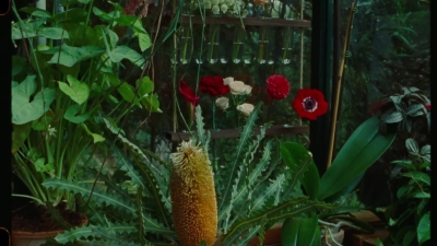 SWP0823.jpg