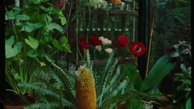 SWP0824.jpg
