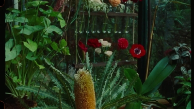 SWP0825.jpg