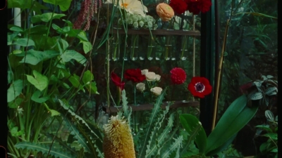 SWP0828.jpg