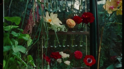 SWP0839.jpg