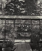 SWP0006.jpg