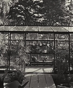 SWP0007.jpg