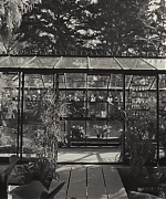SWP0008.jpg