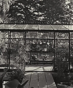 SWP0009.jpg