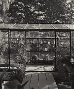 SWP0010.jpg