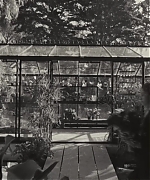 SWP0011.jpg
