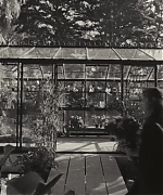 SWP0012.jpg