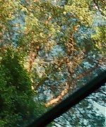 SWP0147.jpg
