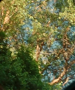 SWP0150.jpg