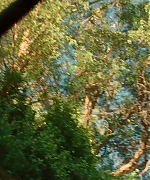 SWP0151.jpg
