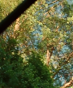 SWP0152.jpg
