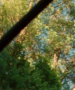 SWP0153.jpg