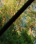 SWP0154.jpg
