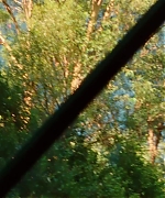 SWP0155.jpg