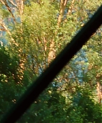 SWP0156.jpg