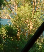 SWP0159.jpg