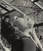 SWP0502.jpg