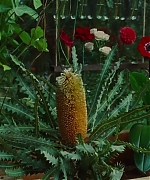 SWP0814.jpg