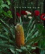 SWP0817.jpg
