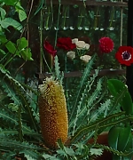 SWP0819.jpg