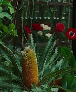 SWP0820.jpg