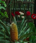 SWP0821.jpg
