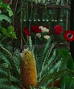 SWP0822.jpg