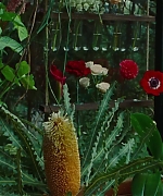 SWP0823.jpg