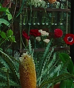 SWP0824.jpg