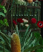 SWP0825.jpg