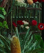 SWP0826.jpg