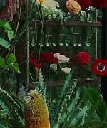 SWP0827.jpg
