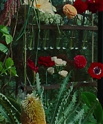 SWP0829.jpg