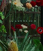 SWP0830.jpg