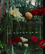 SWP0837.jpg