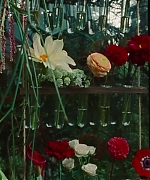 SWP0840.jpg