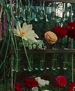 SWP0843.jpg