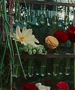 SWP0847.jpg