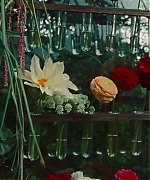 SWP0849.jpg